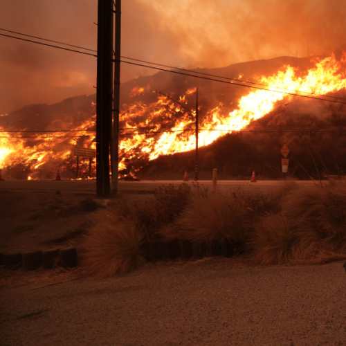 NBA Postpone Games as Head Coach Loses Everything in Los Angeles Wildfires