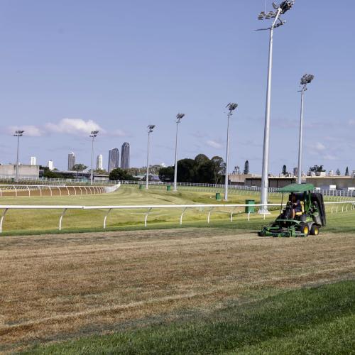Turf Club officials race to fix poisoned track ahead of Magic Millions