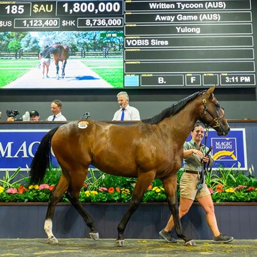 Buyers splash over $45 million on first day of Magic Millions Yearling Sale