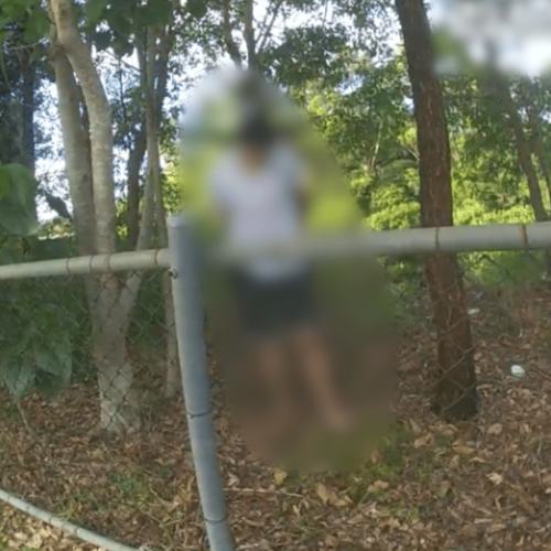 WATCH: Police dog sniffs out teen crim hiding in Nerang river