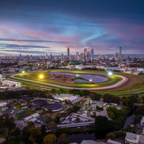 Magic Millions to come alive under lights