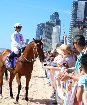 VIDEO: Stunning scenes at The Star Gold Coast Magic Millions Barrier Draw