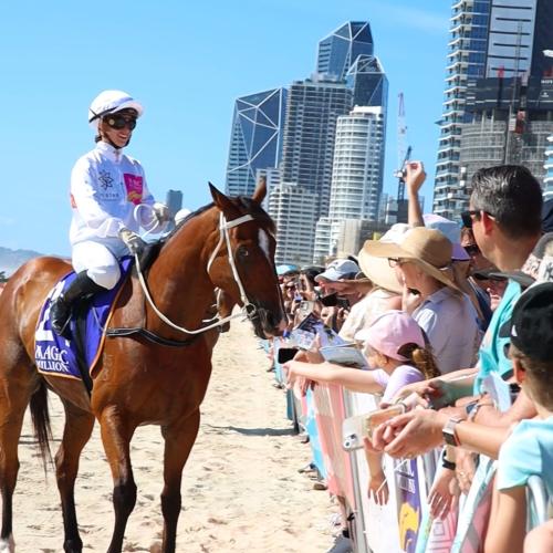 VIDEO: Stunning scenes at The Star Gold Coast Magic Millions Barrier Draw