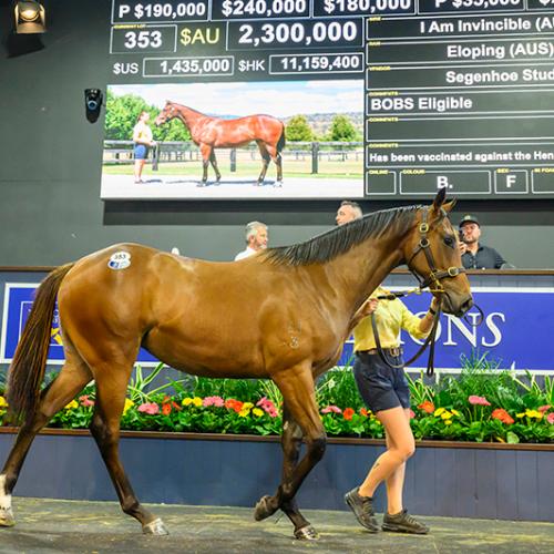 In Secret's full sister tops Day Two of Magic Millions Yearling Sale