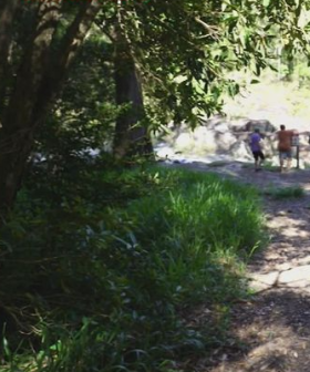 Two teens drown in Qld waterfall tragedy