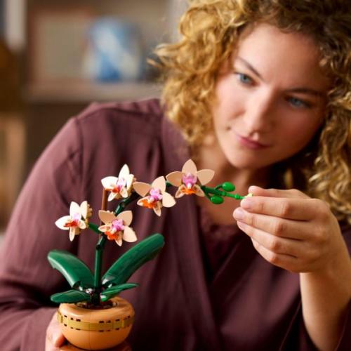 This Valentine’s Day is All About Flowers That Last