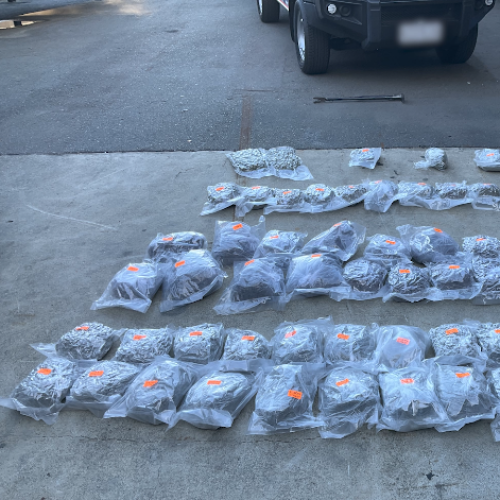 Three charged following major op targeting drug trafficking on Gold Coast