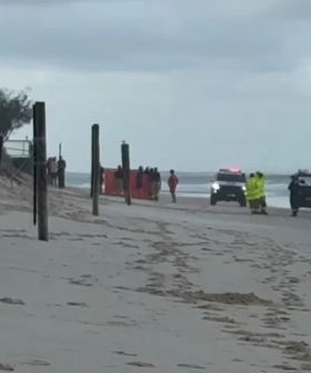 Teenage girl killed in horror shark attack off Qld beach