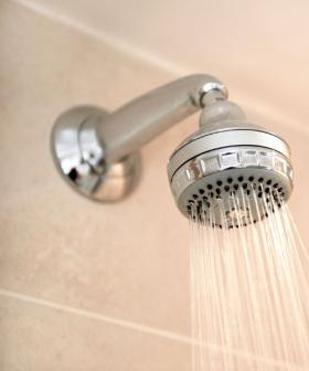 Doctor’s Warning: Why You Shouldn’t Ignore ‘Pink Slime’ in Your Shower
