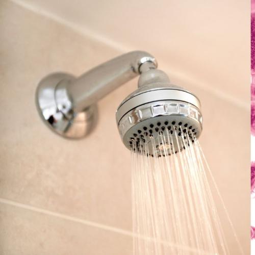 Doctor’s Warning: Why You Shouldn’t Ignore ‘Pink Slime’ in Your Shower