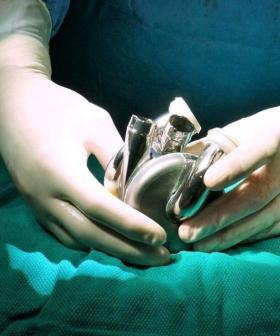 Aussie Man Lives Over 100 Days with New Titanium Heart