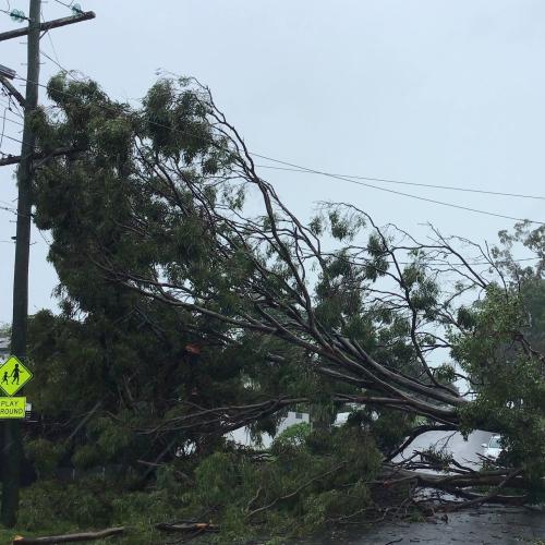 LIVE UPDATES: Tropical Cyclone Alfred latest news and warnings