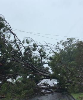 LIVE UPDATES: Tropical Cyclone Alfred latest news and warnings