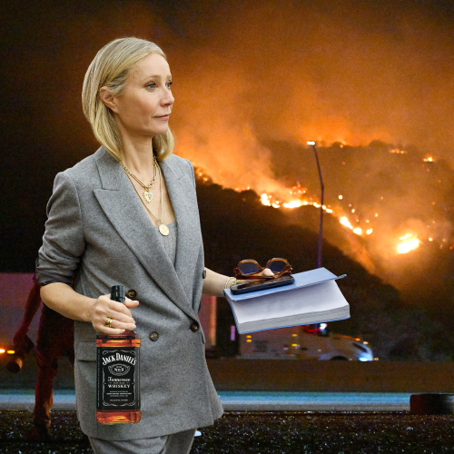 Gwyneth Paltrow Was On The Booze Through All Of The LA Fires