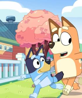 Bluey is Back This Sunday!