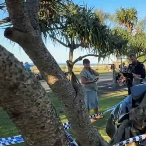 Three men in custody following wild crash near Gold Coast beachfront playground