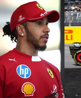 Lewis Hamilton Reacts to Unfortunate Wildlife Incident in F1 Race