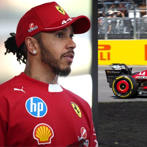 Lewis Hamilton Reacts to Unfortunate Wildlife Incident in F1 Race