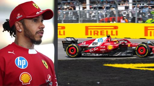 Lewis Hamilton Reacts to Unfortunate Wildlife Incident in F1 Race
