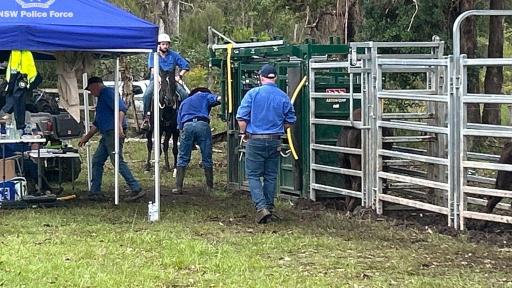 Man charged with stealing cow semen, embryos from wagyu cattle farm