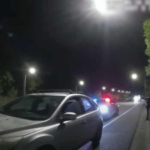 Alleged veggie thief busted after car goes up in flames on Gold Coast
