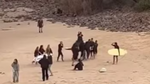 Teen bitten by shark while surfing off popular beach