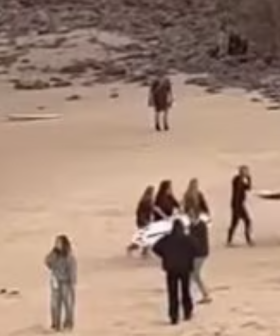 Teen bitten by shark while surfing off popular beach