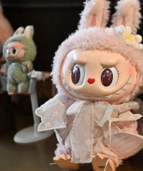 Fair Trading Issue Warning: How to Spot Fake Labubu Toys