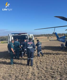 Woman loses arm after being mauled by lion at Qld zoo