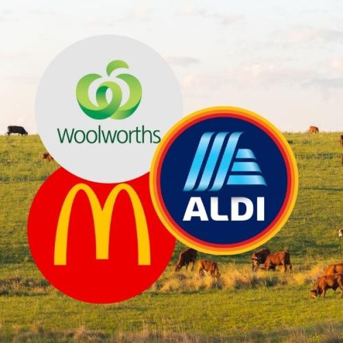 Supermarkets and Fast Food Chains Are Rejecting US Beef in Support of Aussie Farmers