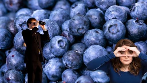 Blueberry Shortage Hits Aussie Supermarkets Due to Wild Weather