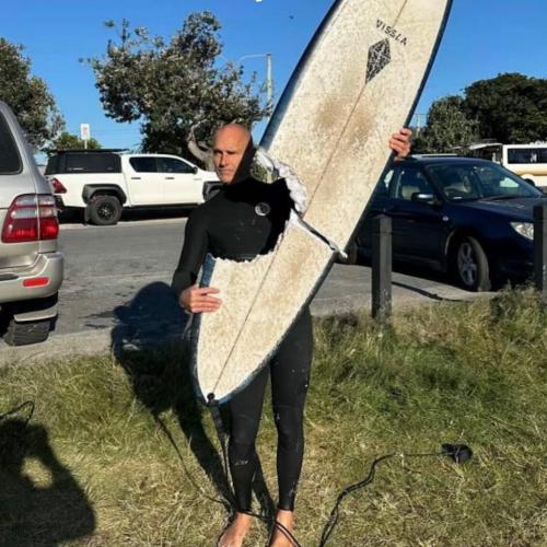 Surfer narrowly escapes shark attack at Cabarita Beach