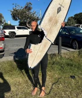 Calls for further surveillance after Cabarita Beach shark bite incident