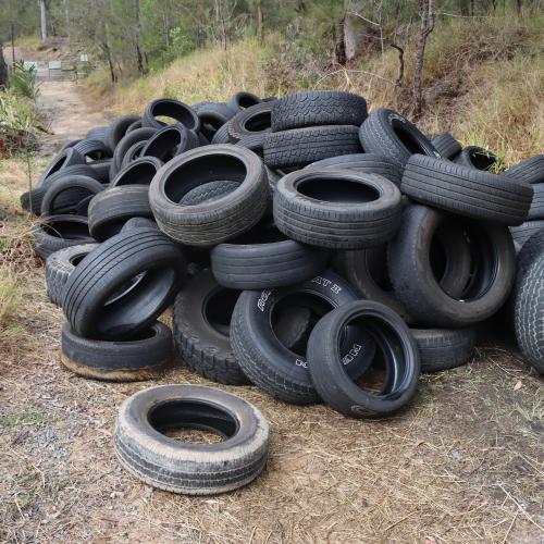 Hundreds of illegally dumped tyres found in Gold Coast Hinterland