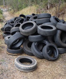 Hundreds of illegally dumped tyres found in Gold Coast Hinterland