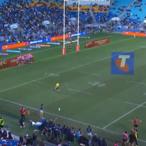 Panthers fined $50k, trainer banned for five weeks over Titans fiasco