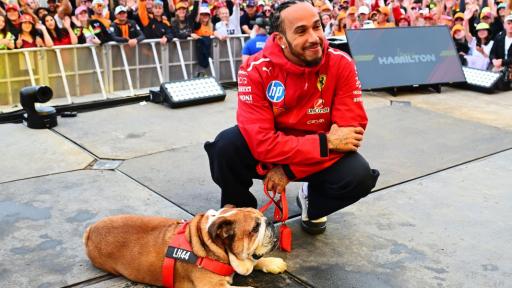 Lewis Hamilton’s Heartbreak: Beloved Dog Roscoe Passes Away After Health Battle