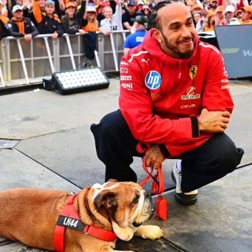 Lewis Hamilton’s Heartbreak: Beloved Dog Roscoe Passes Away After Health Battle