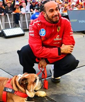 Lewis Hamilton’s Heartbreak: Beloved Dog Roscoe Passes Away After Health Battle