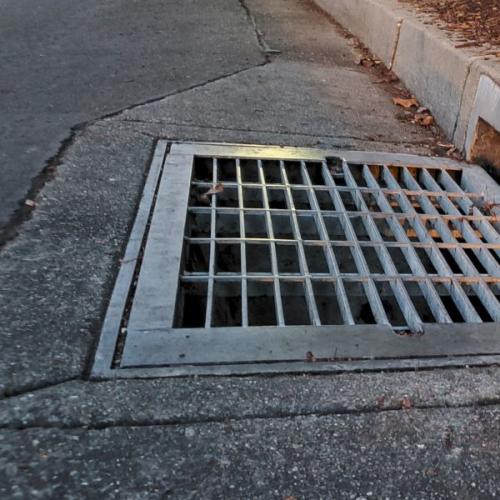 Rescue Mission Launched for ‘Dog’ in Drain