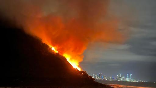 Suss fire rips through Burleigh Heads National Park