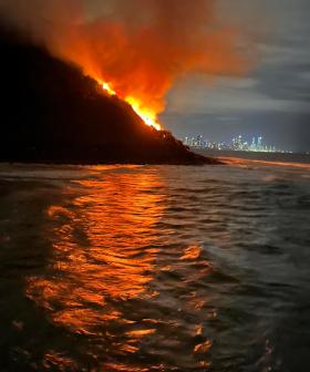 Suss fire rips through Burleigh Heads National Park