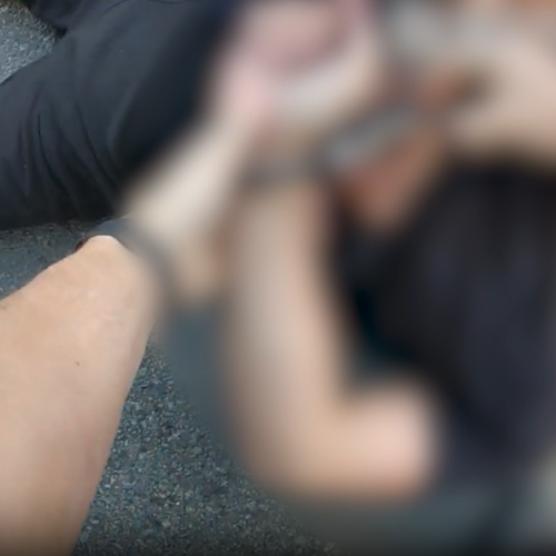 WATCH: Three teens arrested over break-in, stolen car joyride