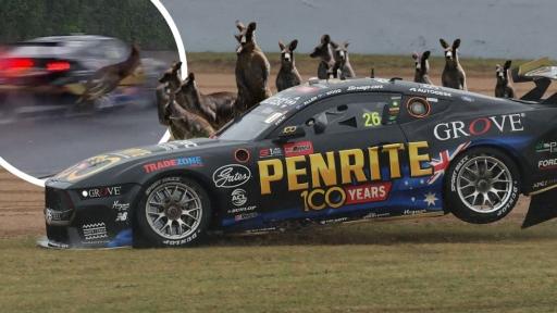 Watch the Heart-Stopping Bathurst 1000 Kangaroo Near-Miss The Broadcast Didn’t Catch