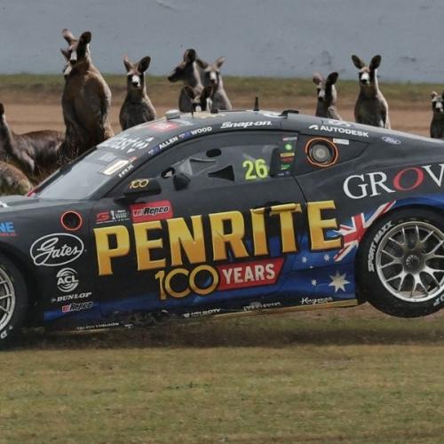 Watch the Heart-Stopping Bathurst 1000 Kangaroo Near-Miss The Broadcast Didn’t Catch