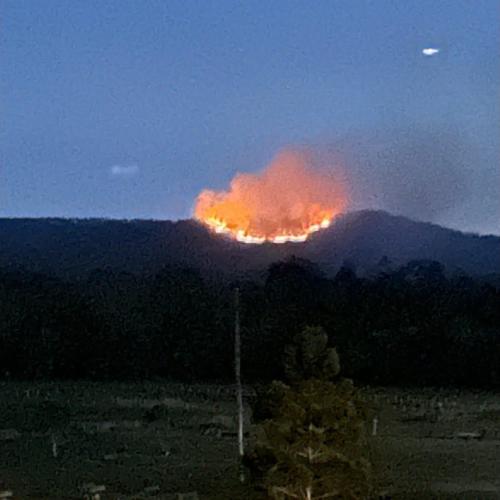 Crews rush to fire in Tamborine National Park
