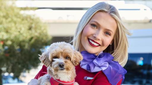 First Virgin pet flight to land on Gold Coast