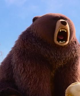 Pixar’s Hoppers Is Ready to Leap onto Aussie Screens