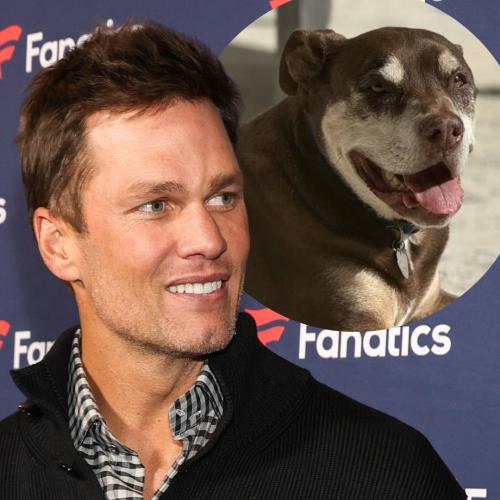 Tom Brady Reveals His Dog Junie Is A Genetic Clone Of His Late Dog That Died In 2023