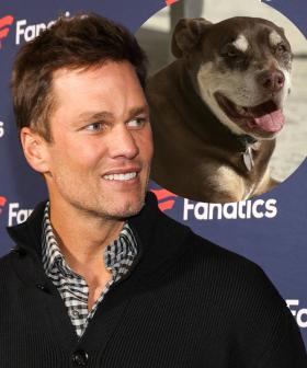 Tom Brady Reveals His Dog Junie Is A Genetic Clone Of His Late Dog That Died In 2023